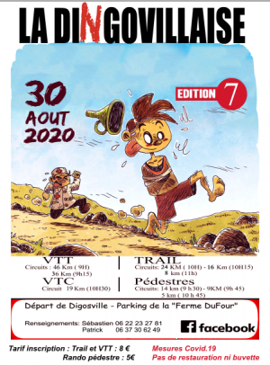 Dingo_2020.png